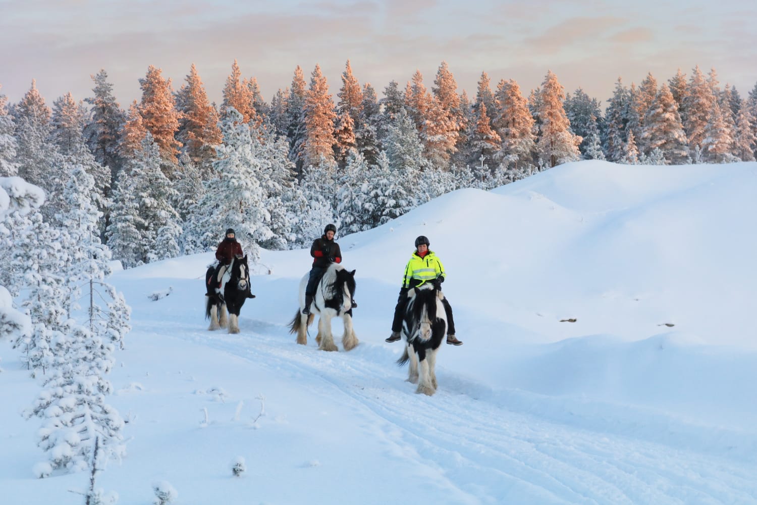 Balade à cheval à Rovaniemi dans les paysages enneigés de Laponie