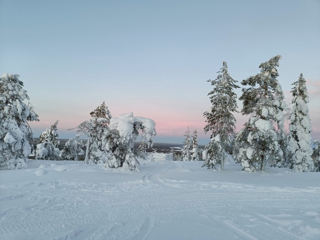 Les saisons en Laponie