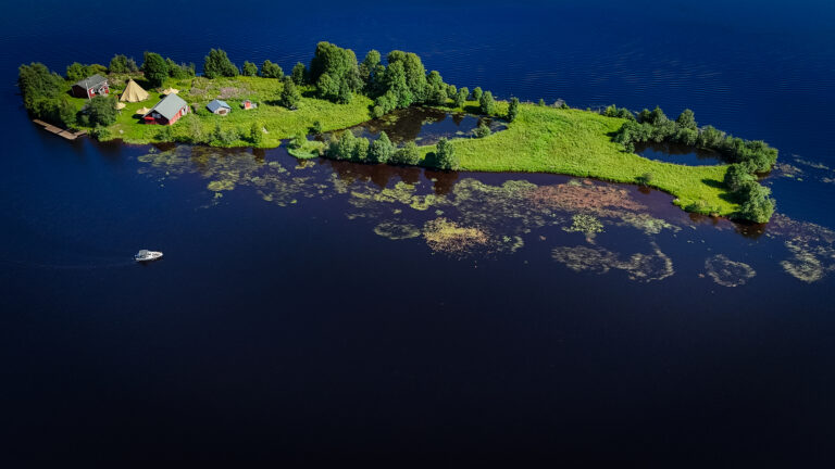 île de Koivusaari en été