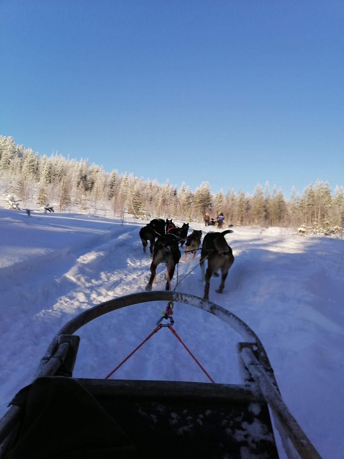 faire avec des enfants à Rovaniemi