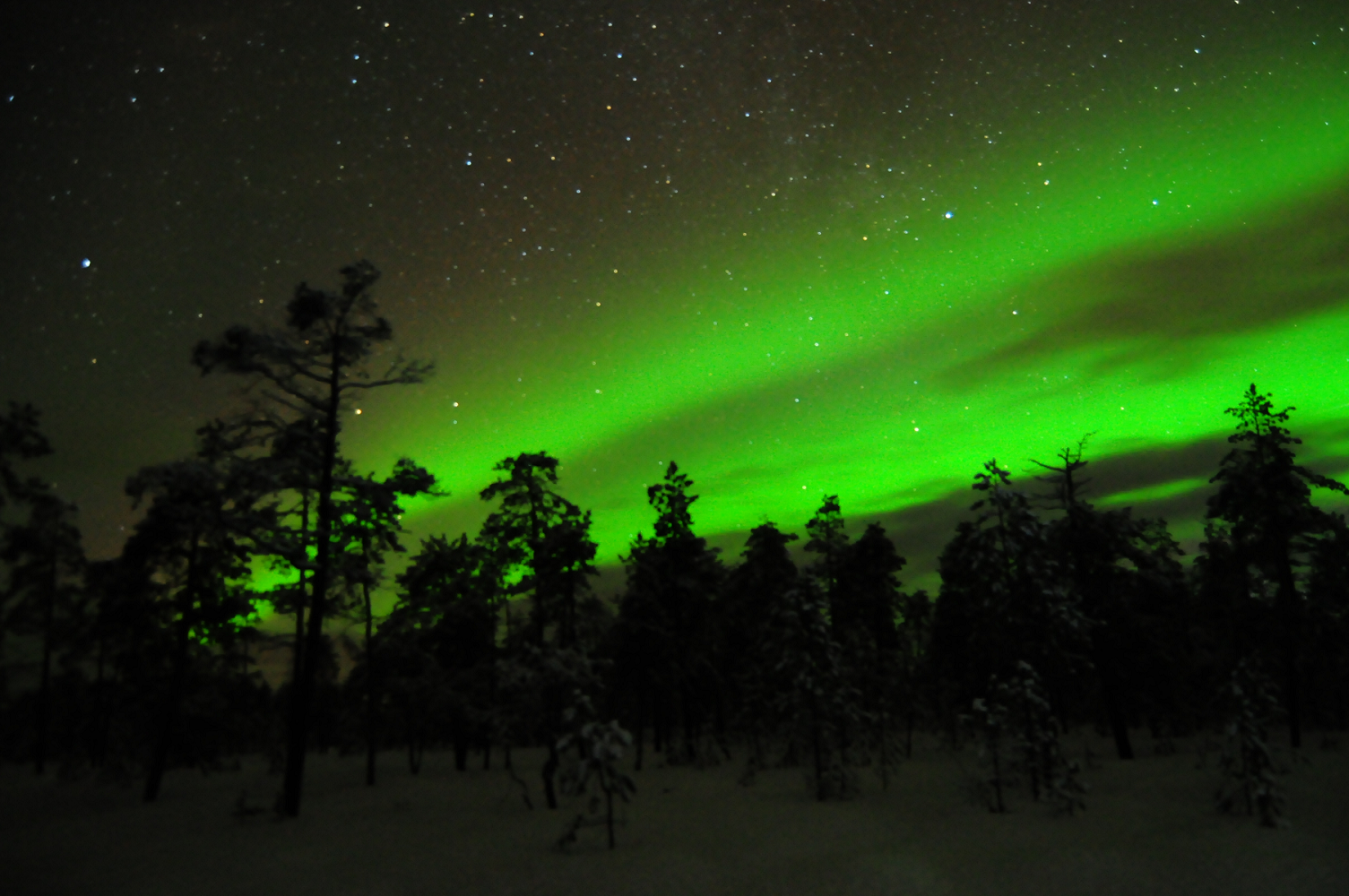 voir des aurores à rovaniemi