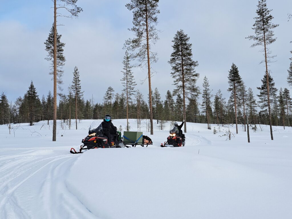 raid motoneige en Laponie