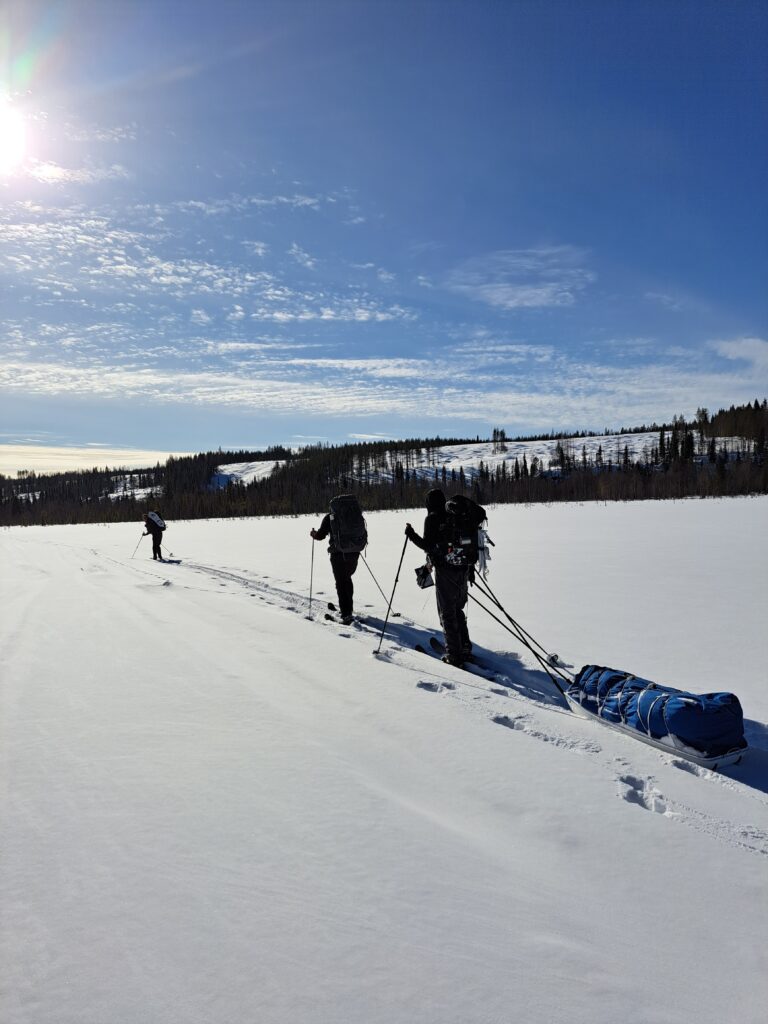 pulk rental in Rovaniemi