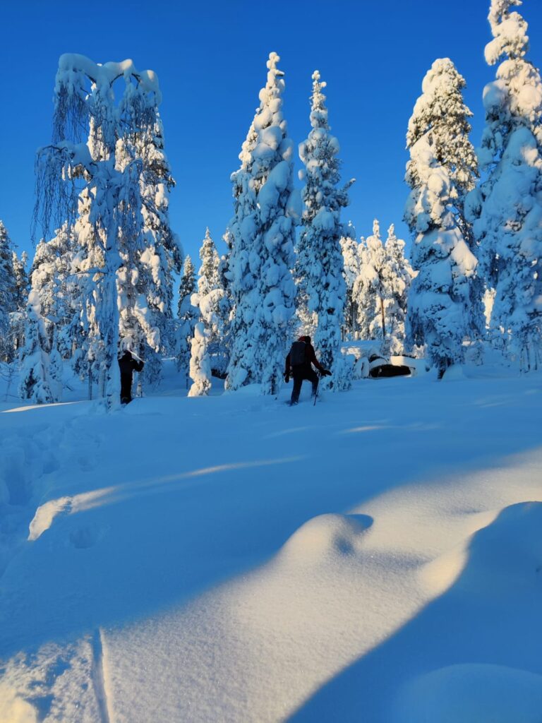 randonnées en raquettes à Rovaniemi