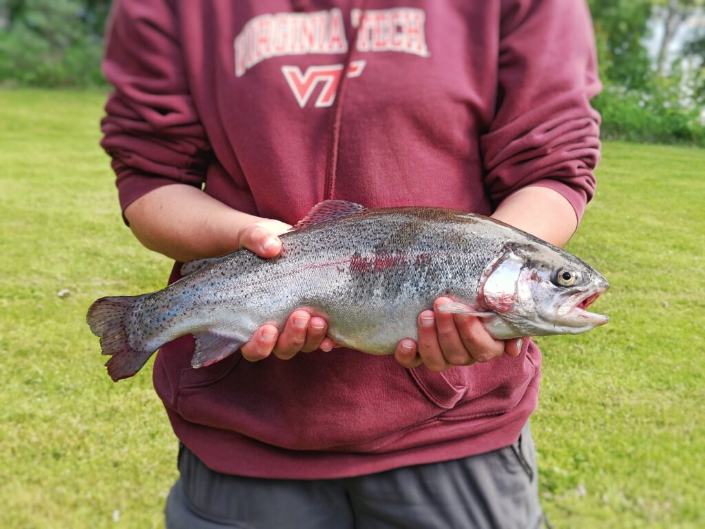 pêcher l'été en Laponie