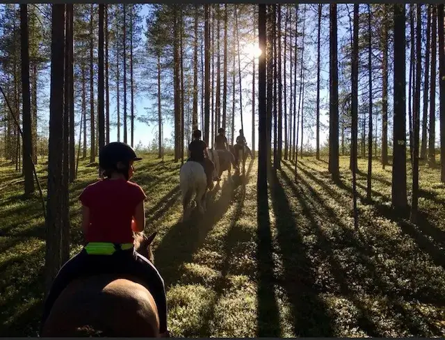 Faire du cheval en Laponie