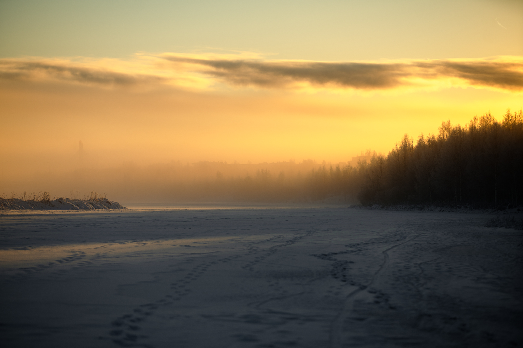 polar night