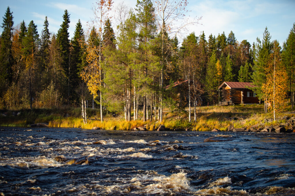 Ruska en Laponie