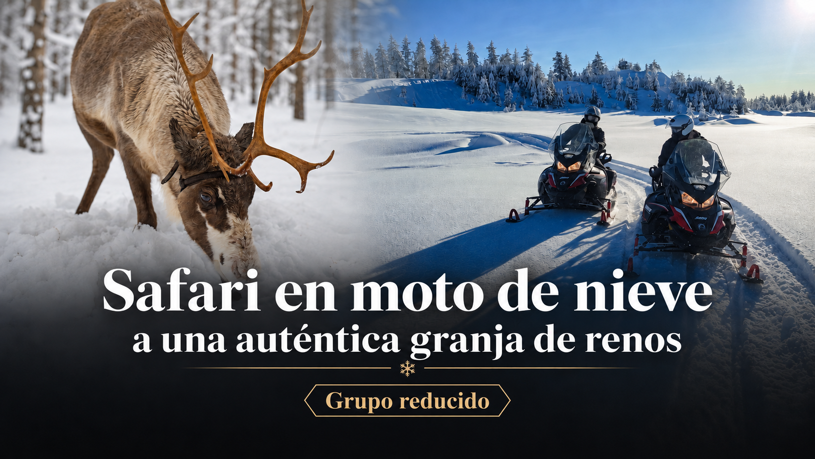 Safari en moto de nieve a una granja de renos en grupo reducido