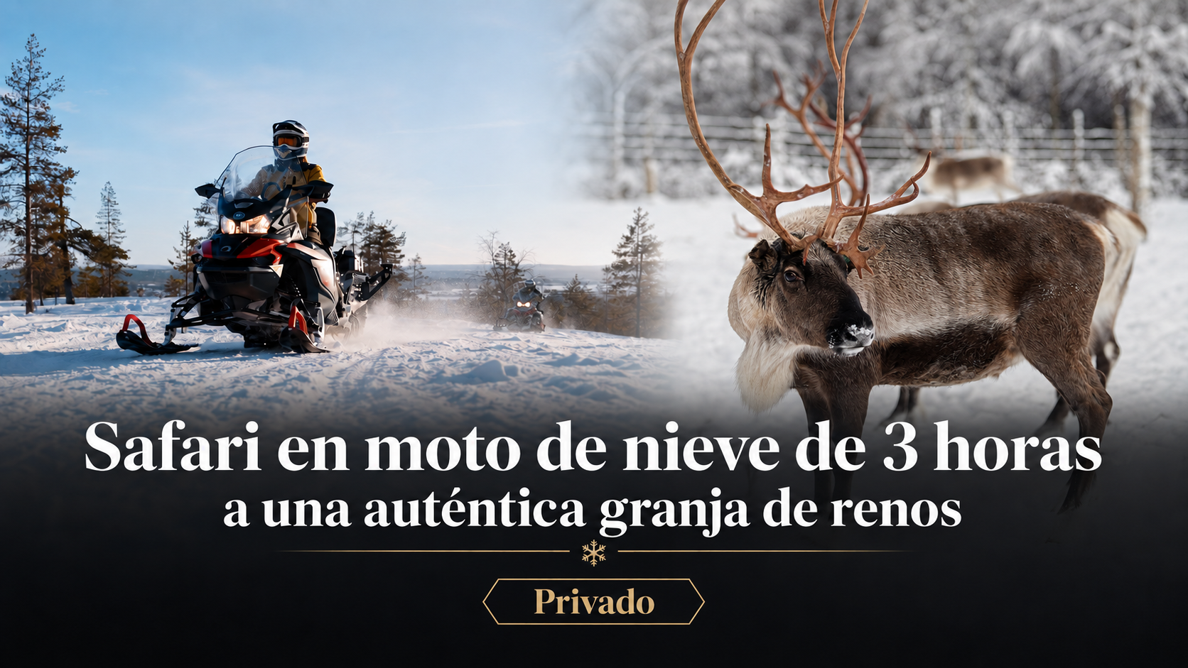 Safari privado de 3 horas en moto de nieve a una granja de renos