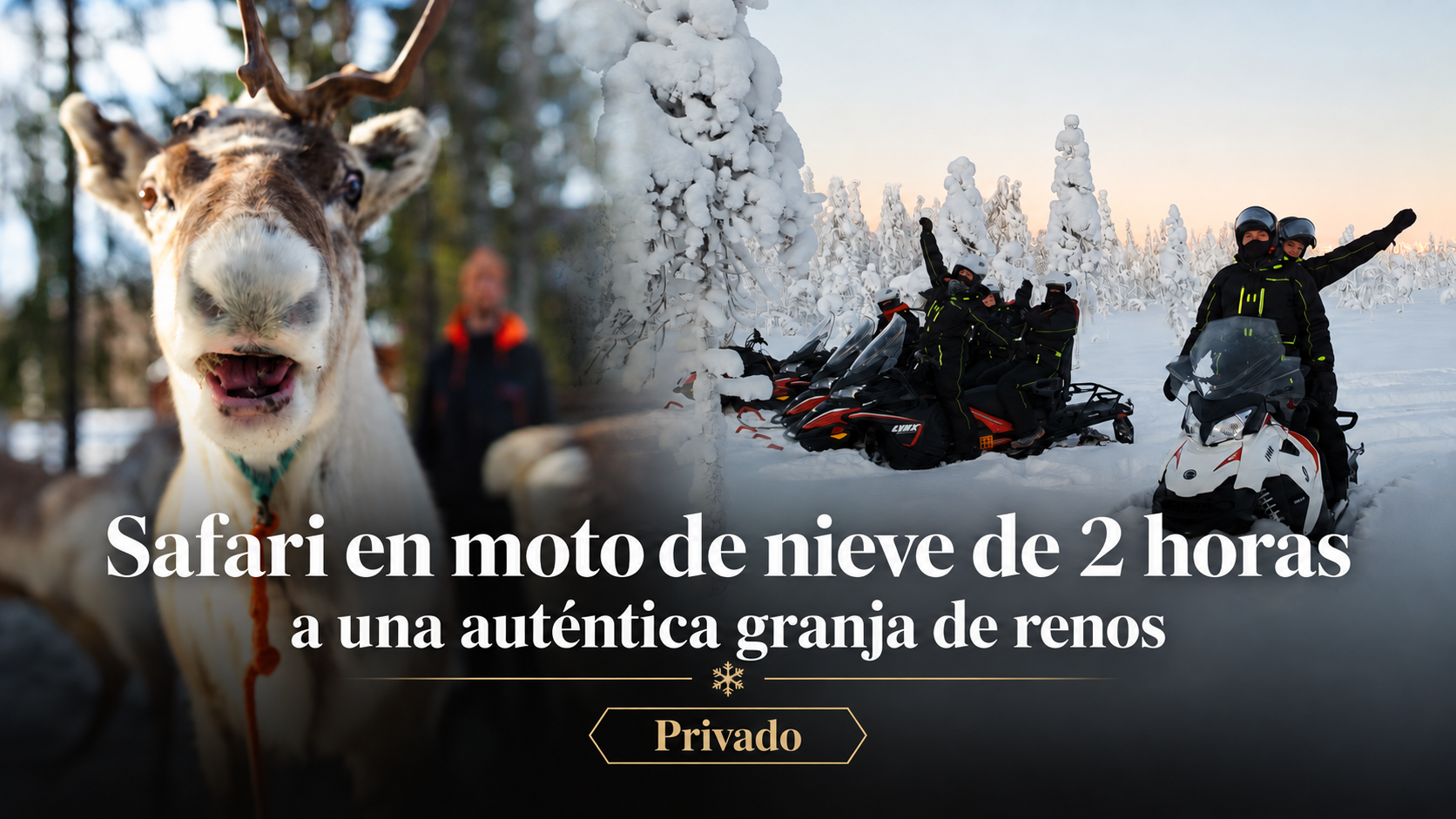 Safari privado de 2 horas en moto de nieve a una granja de renos