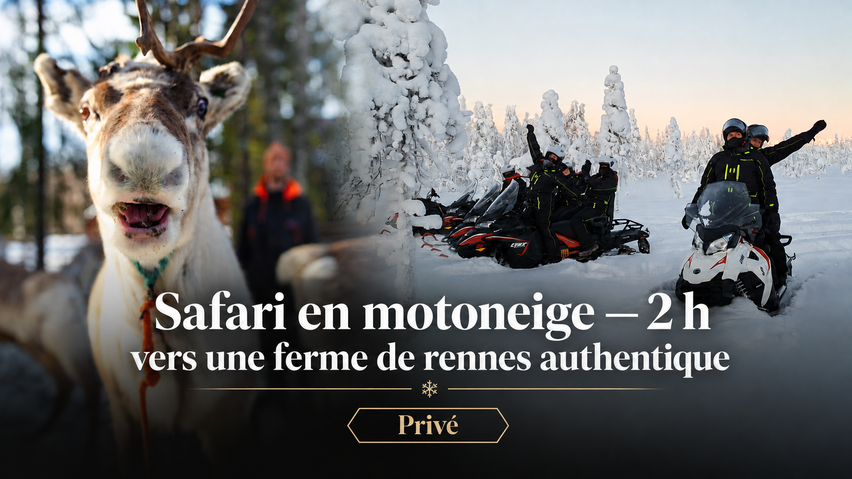 Safari privé en motoneige et visite d’une ferme de rennes authentique à Rovaniemi