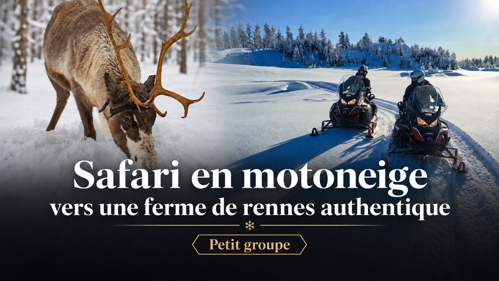 Safari en motoneige vers un élevage traditionnel de rennes à Rovaniemi