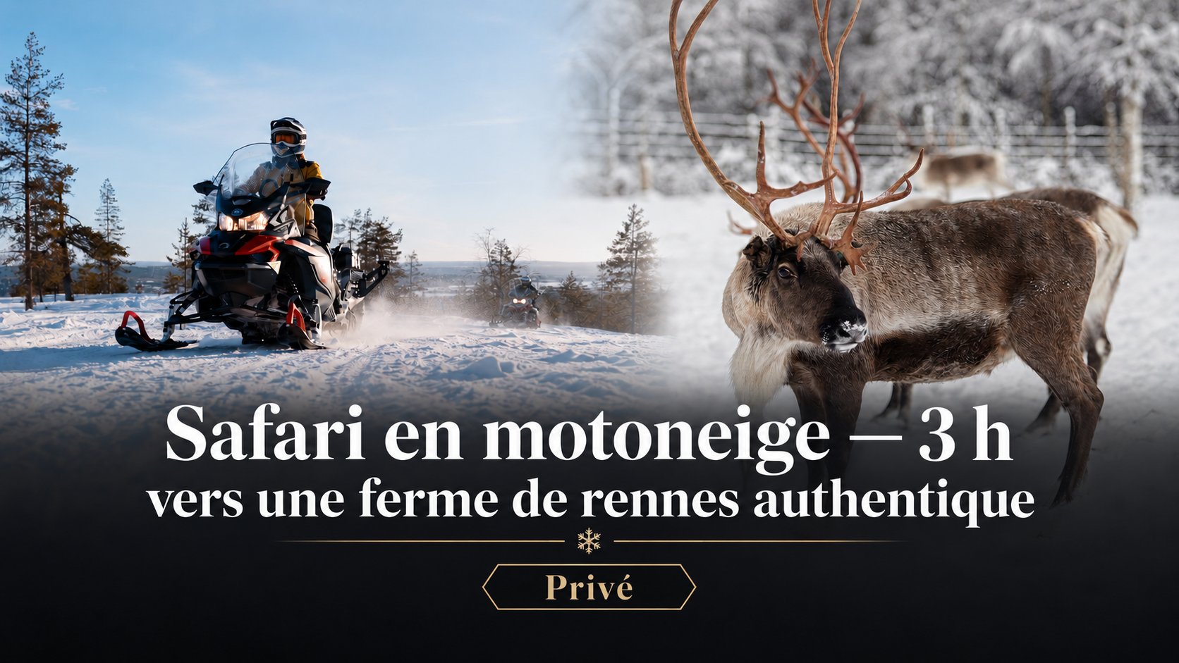 Safari privé en motoneige de 3 heures vers une ferme de rennes authentique