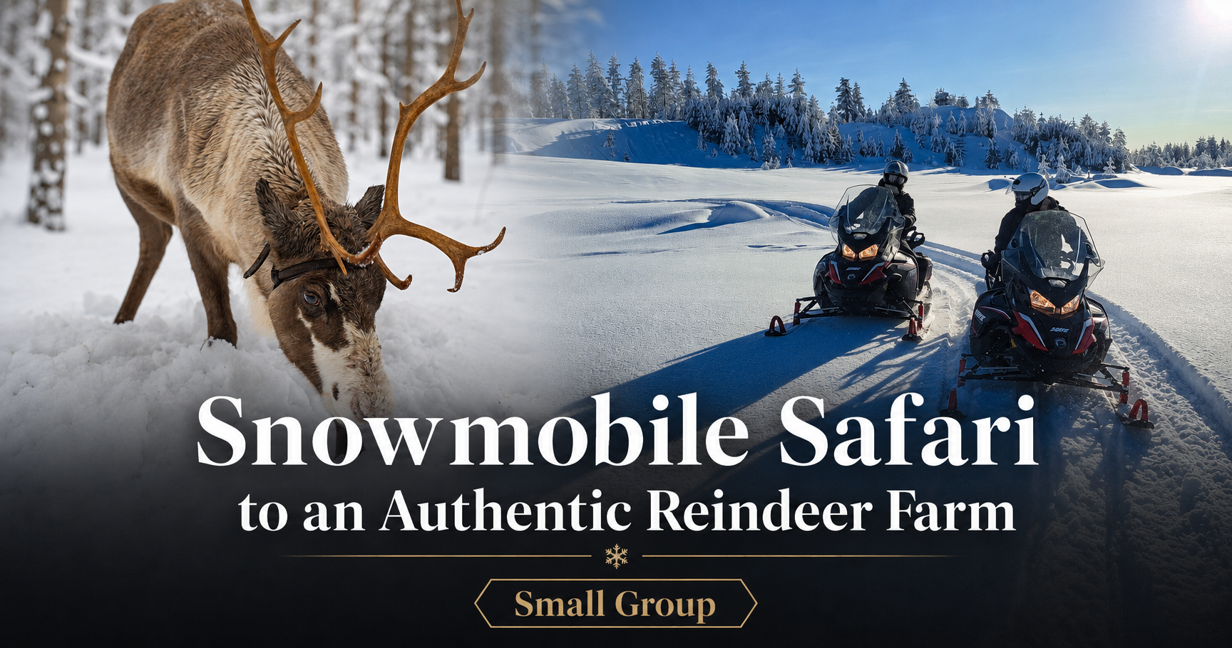 Snowmobile safari to a reindeer farm in Rovaniemi