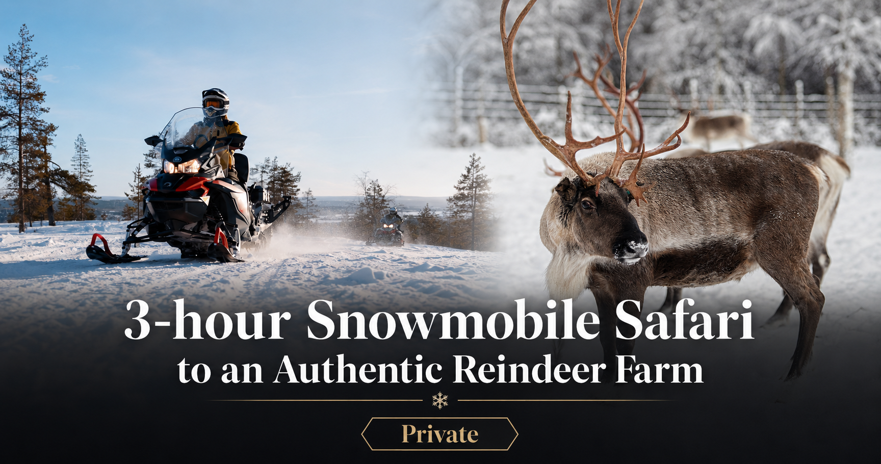 Private 3-hour snowmobile safari to an authentic reindeer farm near Rovaniemi