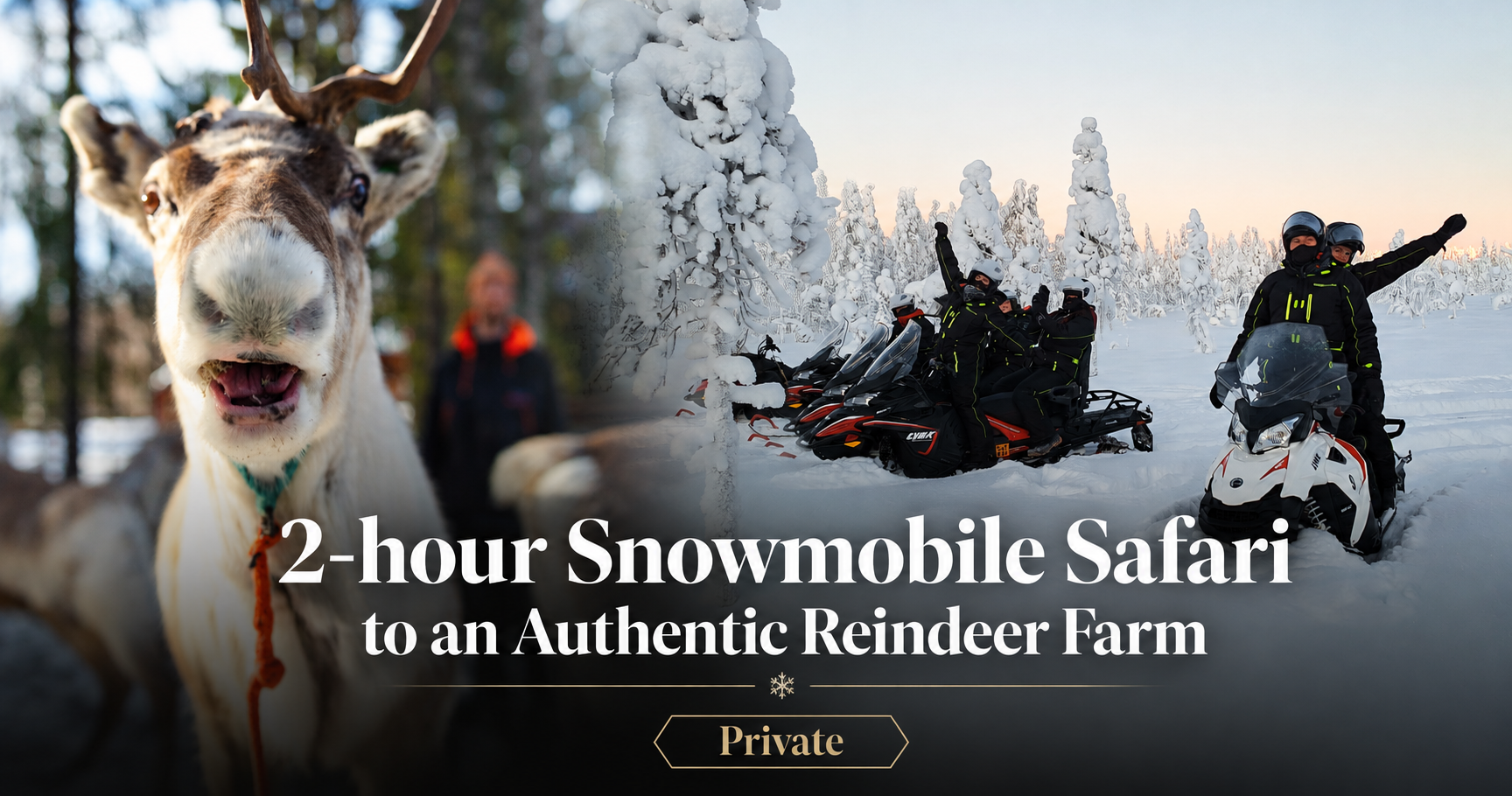 Private snowmobile safari and reindeer farm experience in Rovaniemi